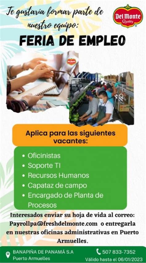 Trabajos en Petrer (12 Ofertas de Empleo) 